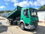 DAF LF 45.180 - DAF LKWs