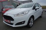 Ford Fiesta Celebration 5-Türig Winterpaket - Ford Fiesta: Tür
