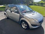Smart ForFour 1,3 passion passion - Smart ForFour in Bonn