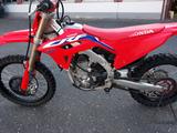 Honda CRF 450 R - HONDA RALLYE CRF 450