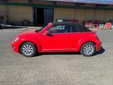 Volkswagen Beetle 1.2 TSI BMT Cabriolet - - Volkswagen Beetle: Rot, Cabrio