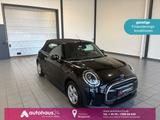 MINI Cabrio Cooper  Essential Trim|LED|Sitzhzg