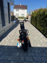 Harley-Davidson Sportster Iron 1200; 1 Hand; A2 gedrosselt  - Offers