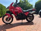Triumph Tiger 900 - TRIUMPH OSNABRÜCK