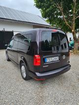 Volkswagen Caddy 1,4TSI 92kW BMT Maxi Trendline 7-Sitze... - Volkswagen Caddy: 1.9