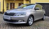 Skoda Fabia "Style"_Climatr_Sitzh_Alu_AHZV_4 Zylinder