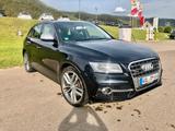 Audi SQ5 3.0 TDI comp. tiptr. quattro - - gebrauchte Audi SQ5 aus dem Jahr 2017