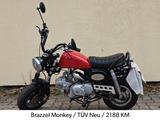 Skyteam Brazzel Monkey / 2188 KM - SKYTEAM MOTORRAD