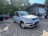 Fiat Panda 1.2 8V Dynamic*1HAND*TÜV*KLIMA*SHZ* - Fiat New Panda Benziner Gebrauchtwagen