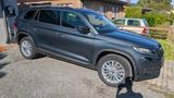 Skoda Kodiaq 2.0 TSI DSG 4x4 Style mit Vollausstattung - Skoda: Allradantrieb, mit