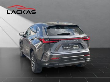 Lexus NX 350h - 3