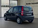 Fiat Panda 1.1 8V Active *E-PAKET*ALLWETTER*AUX*TÜV* - Fiat Panda: Active