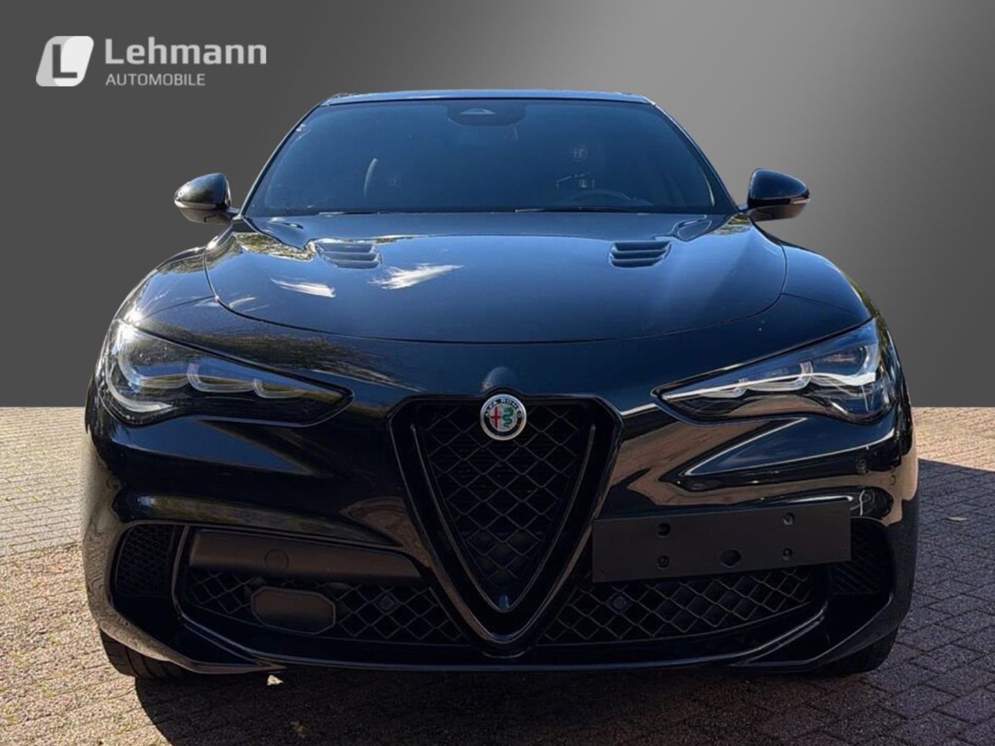 Fahrzeugabbildung Alfa Romeo Stelvio Quadrifoglio Q4 VOLL inkl. Auspuffanlage
