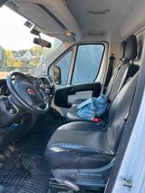 Fiat Ducato - Angebote