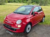 Fiat 500 1.2 8V Pop Pop - Fiat 500 mit Benzin-Antrieb: Beige