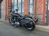 Harley-Davidson Sportster 1200 Custom  - Harley-Davidson Motorräder in Saarbrücken