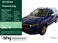 Skoda Karoq - Vorschau Bild 1