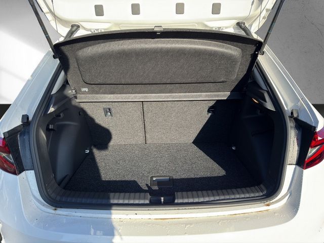 Skoda Fabia IV 1.0 Tour *2xPDC*CAM*DAB*LED*LHZ*SHZ*TEL