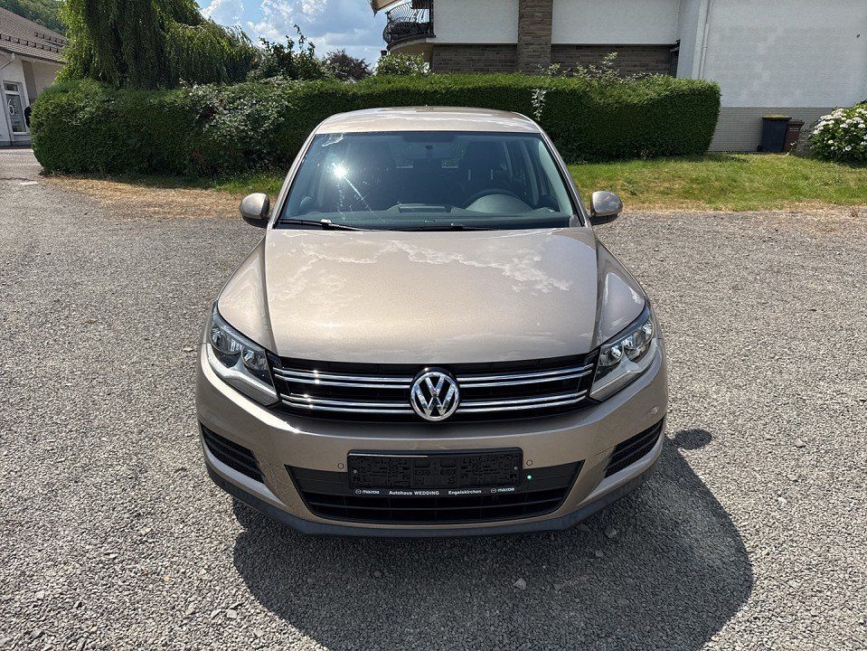 Volkswagen Tiguan - 1