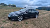 Jaguar XF 5.0 V8 Premium Luxury guter Zustand - Jaguar Gebrauchtwagen von 2011