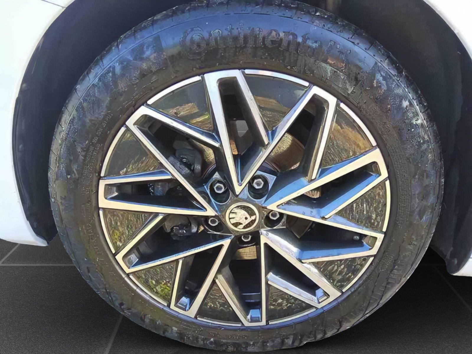 Skoda Octavia - Bild 5