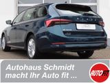 Skoda Octavia Lenkrad & Frontscheibe heizbar AUTOGAS - Skoda mit LPG-Antrieb: Kombi