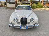 Jaguar MK II JAGUAR MK2 3.8 Litri CAMBIO MANUALE - Jaguar: Mk3