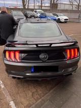Ford Mustang 5.0 V8 GT  55 Jahre Edition Garantie - Ford Mustang in Leverkusen