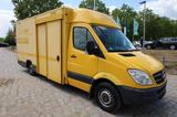 Mercedes-Benz Sprinter II Pritsche/ Koffer/Regalsystem - Angebote entsprechen deinen Suchkriterien