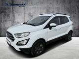 Ford EcoSport Cool & Connect - Ford EcoSport: Van