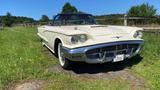 Ford Thunderbird - aus 1960: Cabrio