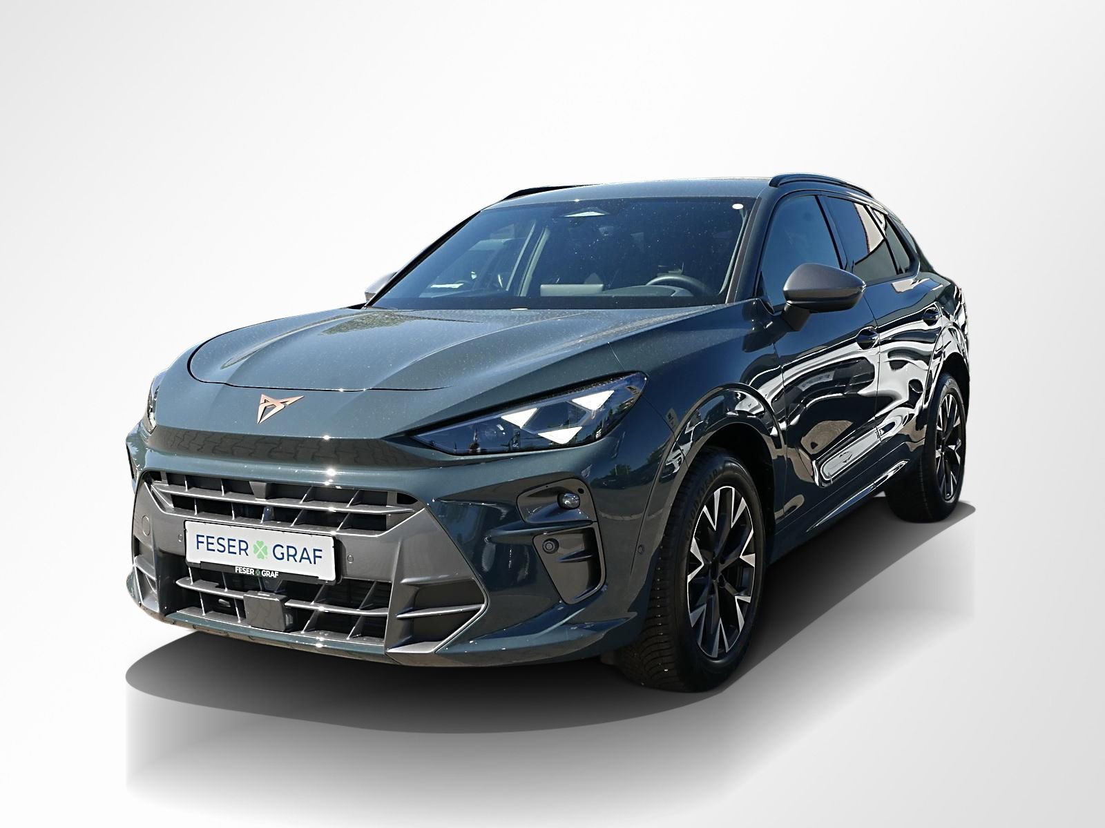 Cupra Terramar - Bild 14