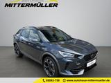 Cupra Formentor VZ 2.0 4Drive Leder Panoram AHK Brembo