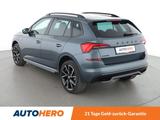 Skoda Kamiq 1.5 TSI ACT Monte Carlo Aut.*NAVI*LED*ACC* - Skoda Kamiq in Köln