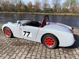 Austin Healey Andere Rennwagen Austin Healey Frosch - Austin Healey Gebrauchtwagen