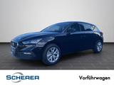 Seat Leon Road Edition 1,5 e TSI 150 PS 7-Gang DSG Wi