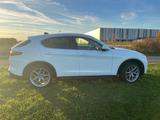 Alfa Romeo Stelvio 2.0 280PS - First Edition - LPG Autogas  - Alfa Romeo in Köln