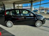 Fiat Panda Pandina HYBRID GSE - Fiat New Panda Gebrauchtwagen