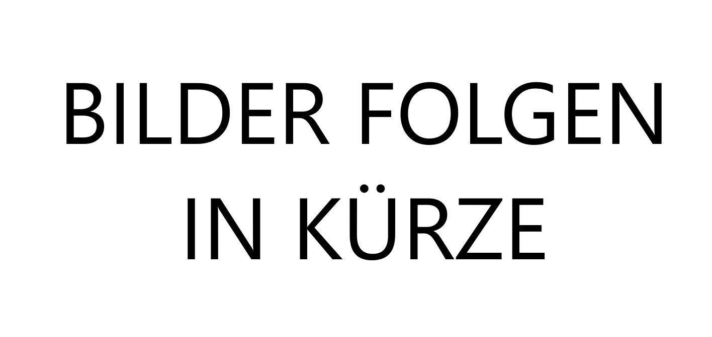 BMW R 1300 GS Trophy ASA Alle Pakete adapt. Höhenreg