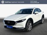Mazda CX-30 e-SKYACTIV-G 2.0 M HYBRID DRIVE SELECTION - weiße Mazda CX-30