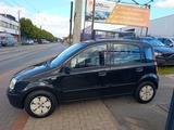 Fiat Panda 1.1 8V Active*KLIMA*TÜV NEU*S-HEFT*100TKM* - gebrauchte Fiat Panda aus dem Jahr 2009