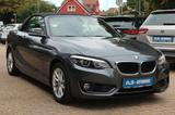 BMW 218 i Cabrio *2.HAND/S-TRONIC/NAVI/LED/PDC* - BMW 2er Reihe: Cabrio