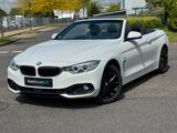 BMW Cabrio 435 i xDrive Sport Line*Autom.*Leder*Navi - BMW 435: Cabrio