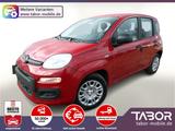 Fiat Panda MHEV 5"-DAB 5-Sitzer PDC DigCo UVP-30%* - Fiat Panda: Sitzer