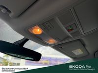 Skoda Karoq - Vorschau Bild 23