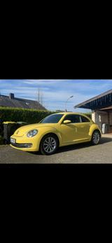Volkswagen Beetle 1.2 TSI - - Volkswagen Beetle in Bonn