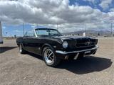 Ford Mustang - Ford Mustang aus 1965: Cabrio