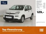 Fiat Panda 1.0 GSE - Fiat Panda aus 2023