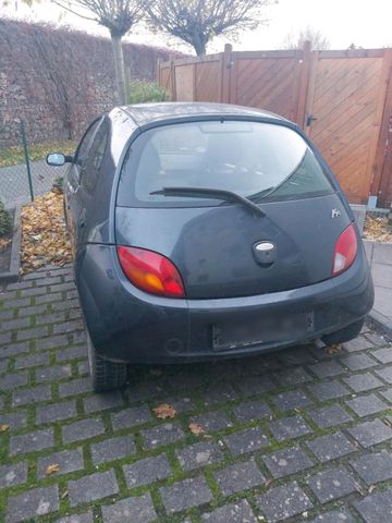 Ford Ka Defekt