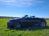 Audi TT Roadster 1.8T 140 kW - - Audi TT aus 2006: Roadster